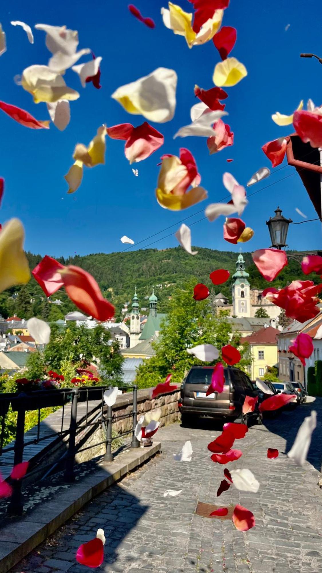 Apartman Franko Banská Štiavnica Exteriör bild